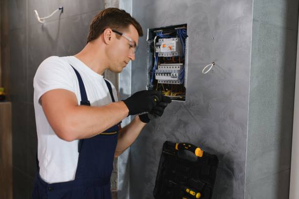 Best Electric Panel Repair  in Fullerton, NE